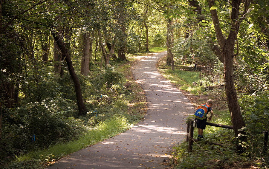 Kinderen in het bos